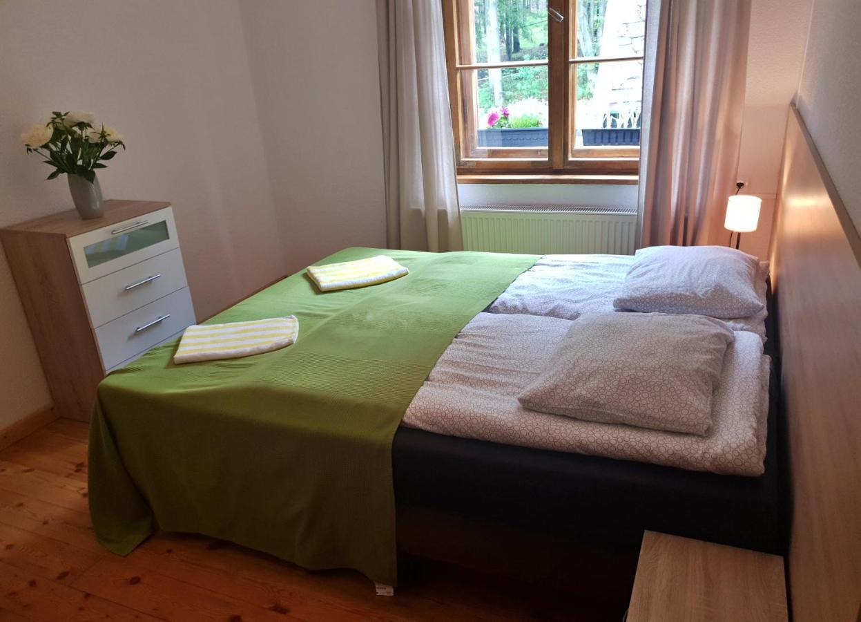 Apartament Zieleniec Duszniki Zdrój Esterno foto
